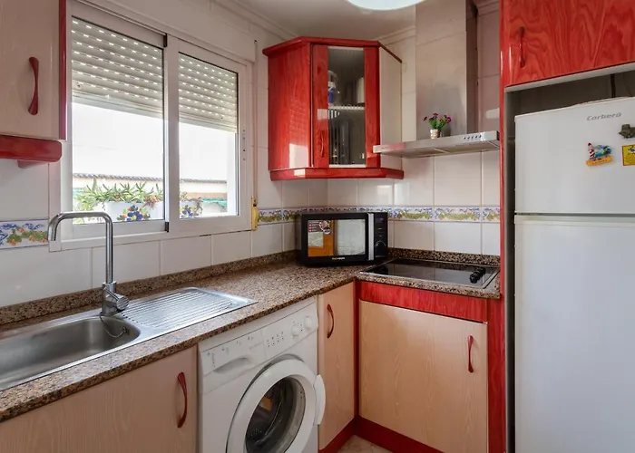 Almdna15-atc Torrevieja